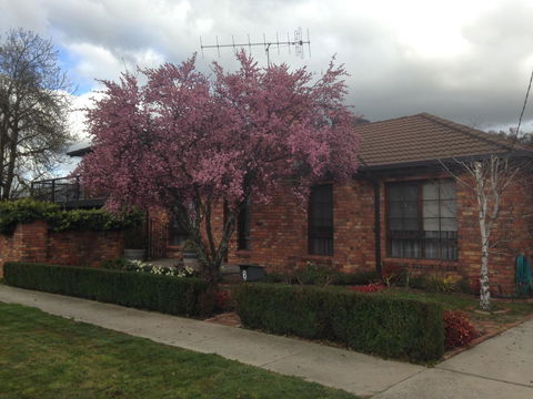 Bricks And Roses - Goulburn Accommodation 1