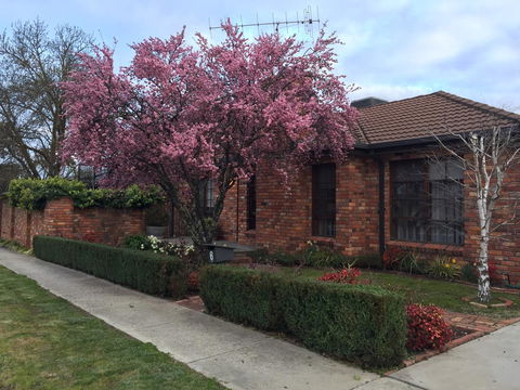 Bricks And Roses - Goulburn Accommodation 2