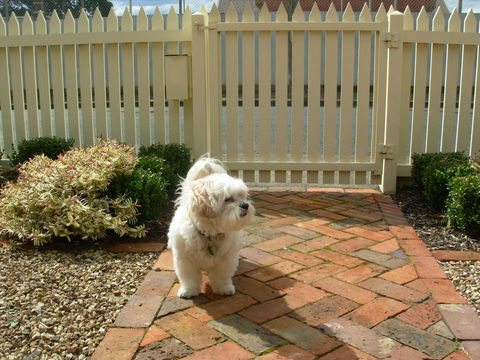 Sabina On Little Myers - Goulburn Accommodation 24