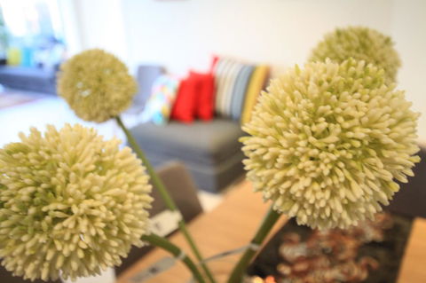 Nest-Apartments On QV - Goulburn Accommodation 8