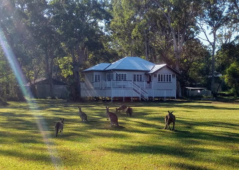 Lake Weyba Noosa Lodge & Kangaroos - Goulburn Accommodation 0