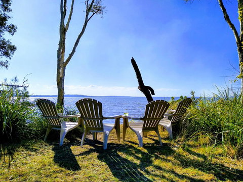 Lake Weyba Noosa Lodge & Kangaroos - Goulburn Accommodation 44