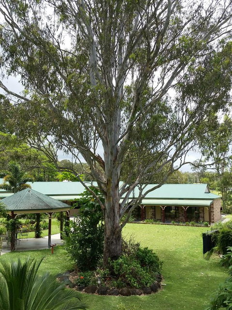 The Bearded Dragon Boutique Hotel - Goulburn Accommodation 32