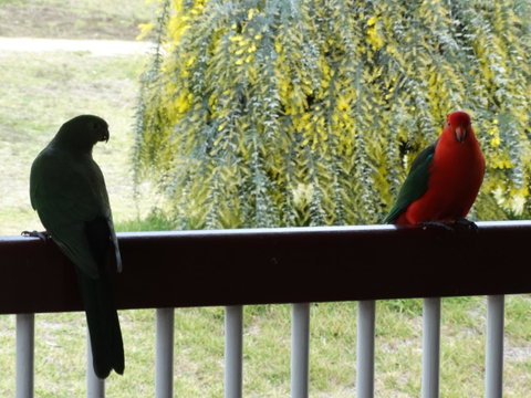 Loughmore House - Goulburn Accommodation 9