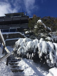 Book Thredbo Accommodation Vacations Goulburn Accommodation Goulburn Accommodation