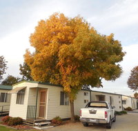 Wodonga Caravan  Cabin Park - Goulburn Accommodation