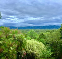 Daintree Manor BB - Goulburn Accommodation
