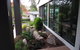 Eastgate On The Range Motel - thumb 20