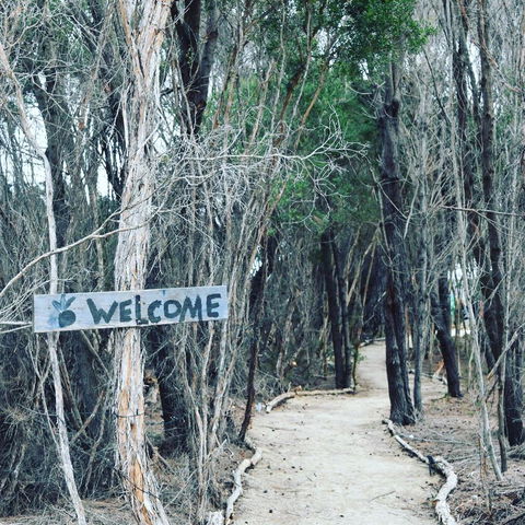 Flinders Island Glamping - Goulburn Accommodation 0