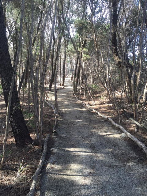 Flinders Island Glamping - Goulburn Accommodation 1