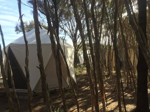 Flinders Island Glamping - Goulburn Accommodation 7