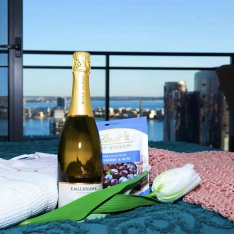 CENTRAL CBD EXEC STUNNING VIEW WIFI NETFLIX WINE - Goulburn Accommodation 2