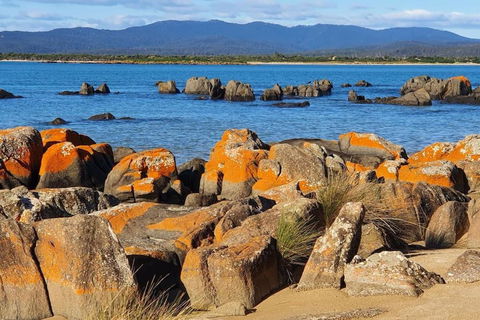 CHILL - Goulburn Accommodation 1