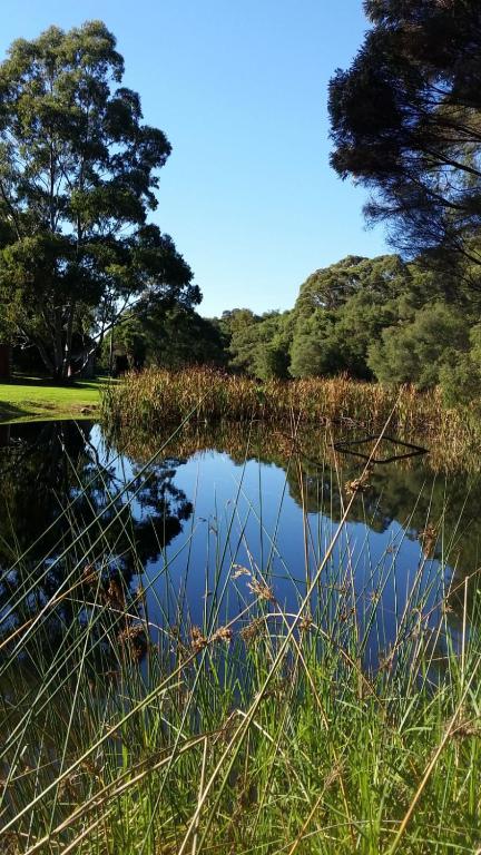 Crystal Springs Holiday Accommodation - Goulburn Accommodation 0