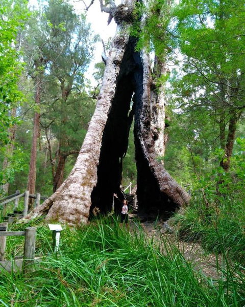 Crystal Springs Holiday Accommodation - Goulburn Accommodation 3