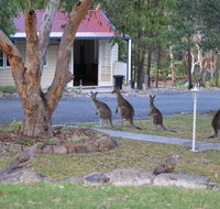 31 The Rocks - Goulburn Accommodation