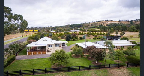 505 CONROD STRAIGHT MOUNT PANORAMA - Goulburn Accommodation 1