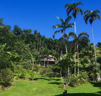 A Daintree Garden - Goulburn Accommodation