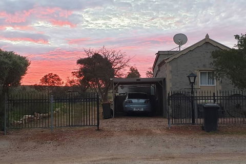 A Real Bush Retreat. Kangas, Emus & Starry Skies. - Goulburn Accommodation 1
