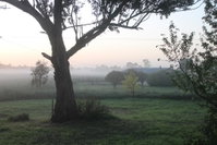 Book Heyfield Accommodation Vacations Goulburn Accommodation Goulburn Accommodation