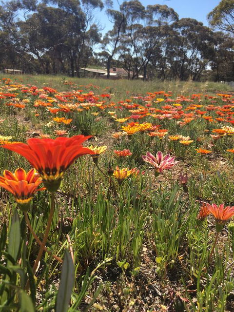 Acclaim Gateway Tourist Park - Goulburn Accommodation 2