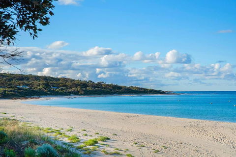 Eagle Bay Summerhaus - Goulburn Accommodation 1