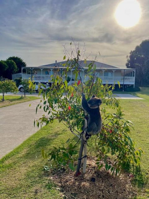 Galbraith Beach Studios - Studio 2 - Goulburn Accommodation 2