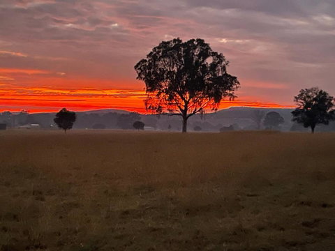 Graceland By Tiny Away - Goulburn Accommodation 0