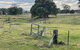 Graceland By Tiny Away - thumb 2