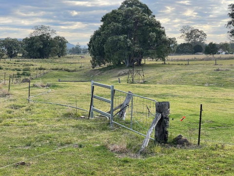 Graceland By Tiny Away - Goulburn Accommodation 2