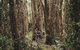 Habitat Noosa - thumb 1