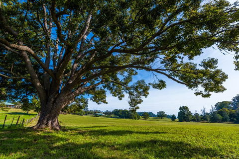 All About Me B & B - Goulburn Accommodation 2