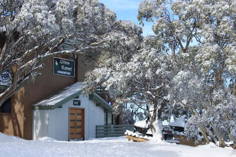 Alpine Retreat Mt Buller - Goulburn Accommodation 0