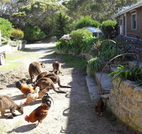 Anchorage Apartments - Goulburn Accommodation