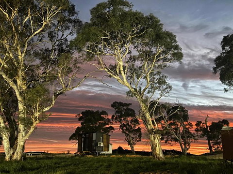 Myrtle At Lexington Park - Goulburn Accommodation 3