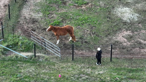 Myrtle At Lexington Park - Goulburn Accommodation 1