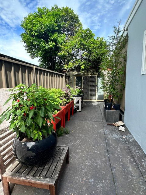 Private, Local Living Studio In Mascot, Airport - Goulburn Accommodation 2