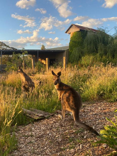 Private Country Escape With Valley Views - Goulburn Accommodation 2