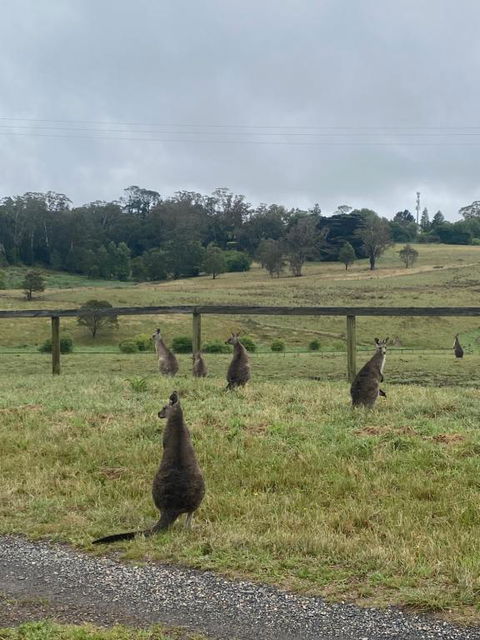 Private Country Escape With Valley Views - Goulburn Accommodation 1