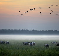 Bamurru Plains - Goulburn Accommodation