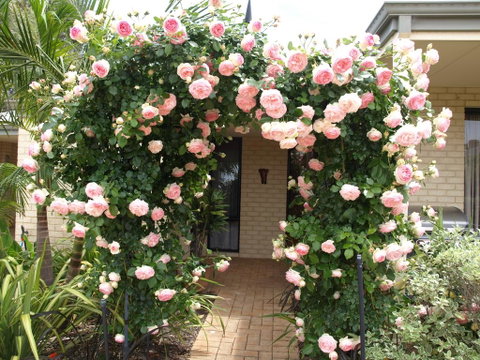 Baudins Of Busselton Bed And Breakfast - Goulburn Accommodation 0