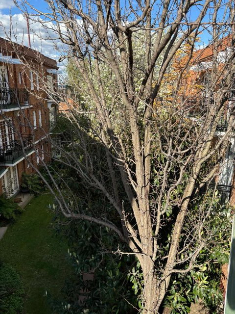 Regents Gate East Melbourne - Goulburn Accommodation 1