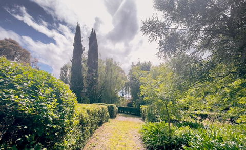 Sanctuary Park Cottages - Goulburn Accommodation 1