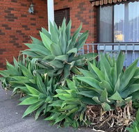 Beautiful Bedroom in Bentleigh East - Goulburn Accommodation