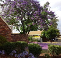 Belvoir Village Motel  Apartments Wodonga - Goulburn Accommodation