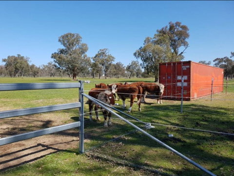Big Tiny Jindera Park - Goulburn Accommodation 2