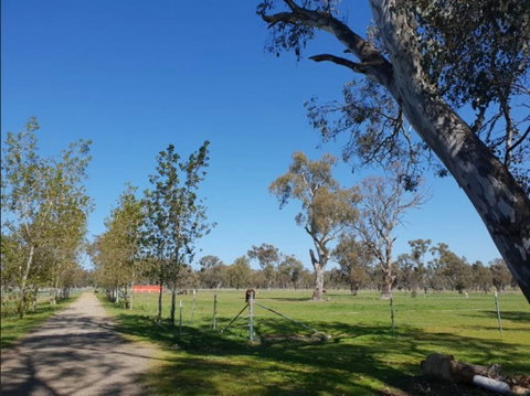 Big Tiny Jindera Park - Goulburn Accommodation 3