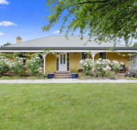 Blue Wren - Goulburn Accommodation