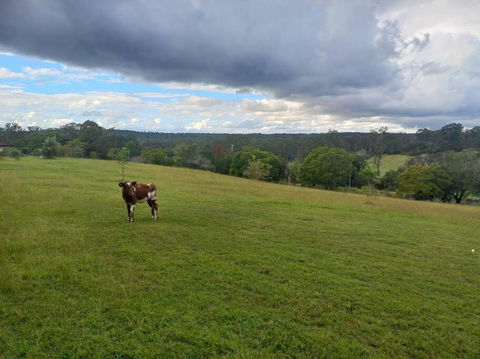 Maison De Lavande Farmstay - Goulburn Accommodation 1