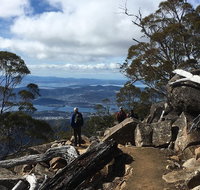 kunanyi / Mt Wellington Explorer Bus - 2 Hour Return Tour - Goulburn Accommodation